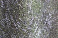 Shincliffe fibreglass roof work